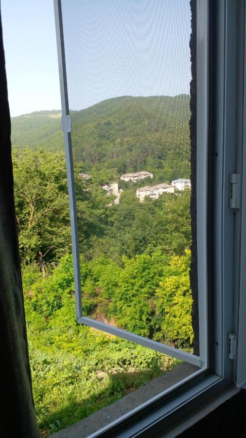 Pirosmani 66 Hotel ซิคนาคี ภายนอก รูปภาพ