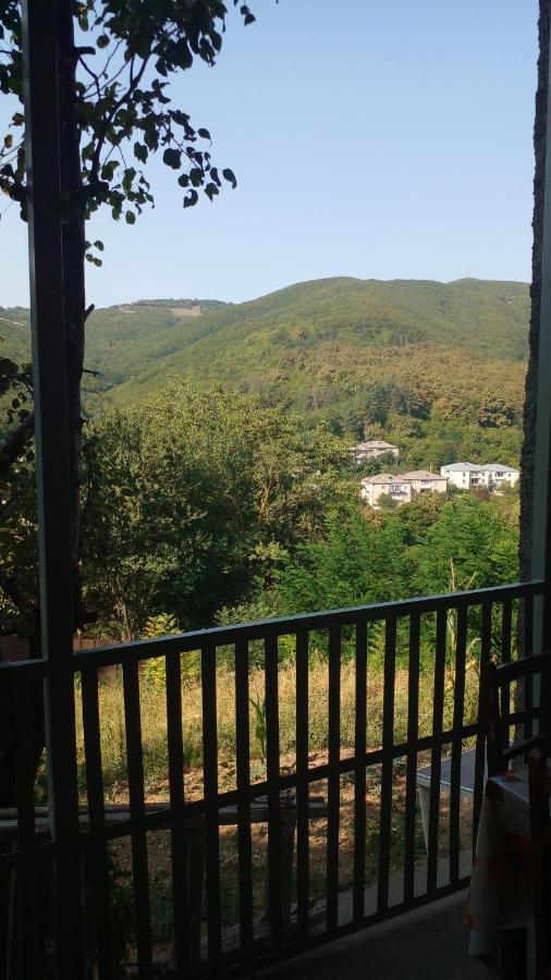 Pirosmani 66 Hotel ซิคนาคี ภายนอก รูปภาพ